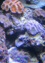 IMG_1769.jpg