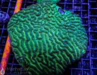 IMG_6590.jpg