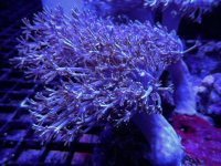 IMG_6294.JPG