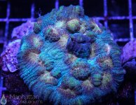 IMG_6592.jpg