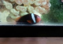 20130921_163244-1-1.jpg