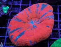 IMG_6612.jpg