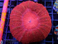 IMG_6614.jpg