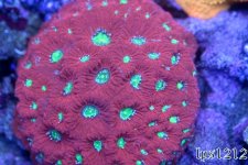 IMG_3676.JPG