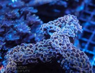 IMG_6623.jpg
