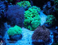 IMG_6684.jpg