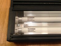 t5lights.jpg