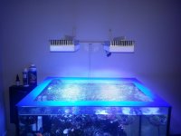 20130623_204634.jpg