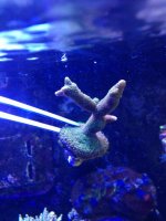 photo (57).jpg