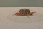 Jan_25_hitchhiker_0005-2.jpg