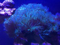 IMG_4227.JPG