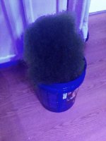 ImageUploadedByTapatalk1393734035.851619.jpg ImageUploadedByTapatalk1393734035.851619.jpg