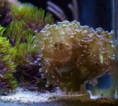 IMG_0292.jpg