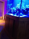 ImageUploadedByReefs1376361415.900877.jpg