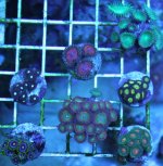 IMG_9236.jpg