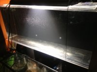 ImageUploadedByTapatalk 21380201977.278258.jpg