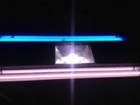 ImageUploadedByTapatalk 21380202025.530901.jpg