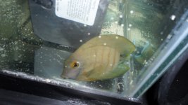 EBILI TANG 010.JPG