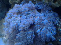 20130926_1928331597606196.jpg