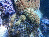 IMG_20131101_201755.jpg