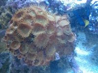 IMG_20131102_132611.jpg