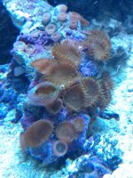 IMG_20131102_132736.jpg