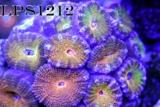 IMG_6143.JPG