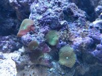 IMG_20131102_132805.jpg