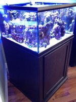 IMG_9745.jpg