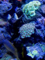 IMG_6287.jpg