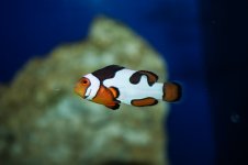 IMG_3579.jpg