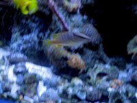 IMG_6276.jpg