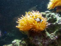 IMG_20130624_201345.jpg