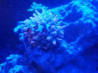 IMG_20130625_004143.jpg