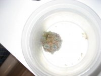IMG_3780.JPG