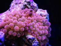 IMG_1288.jpg