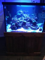 ImageUploadedByReefs1376507537.280368.jpg