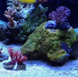 IMG_4603.jpg