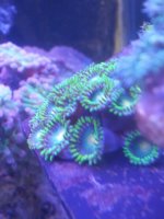 20131103_103703.jpg