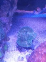 20131103_103629.jpg