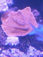 20131103_103736.jpg