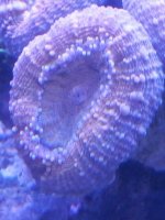 20131103_103840.jpg