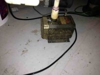 ImageUploadedByReefs1372211009.166694.jpg
