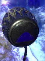 ImageUploadedByReefs1376527676.042183.jpg