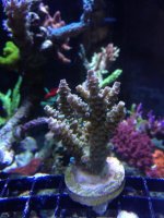 IMG_8334.jpg