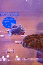 Xenia out of box.jpg