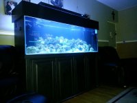 ImageUploadedByReefs1368633914.399256.jpg