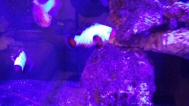 20131216_201848_resized.jpg
