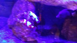 20131216_202121_resized.jpg