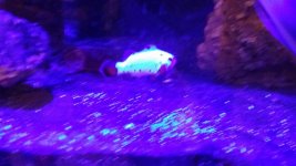 20131216_202129_resized.jpg